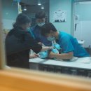 에이치동물메디컬센터 이미지