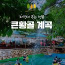 큰황골가든 네이버블로그
