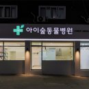 아이숲동물병원 이미지