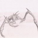 컨셉디자인