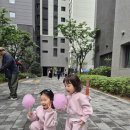 🌿솔잎반 권다은🐤💛 이미지