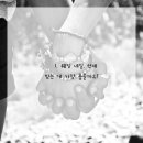 네일드레스 - 서구 | 네일드레스