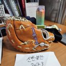 [판완] NPB 세이부라이온즈 선수 지급품 제트 프로스테이터스 1루 미트 이미지