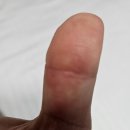 대세포차 이미지