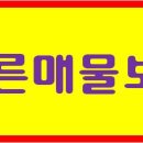 신세계빌라 앞 이미지