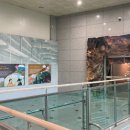 홍천박물관 이미지