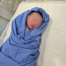 (주)응급일이구 | 출산일기 | 드디어 지구별에 도착한 뚜밍이🌳 유도분만 응급제왕 엔딩 후기..