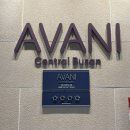 서면 덴바스타 센트럴 호텔 | 부산 가성비호텔 서면 아바니 센트럴 부산 투숙후기