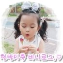 성운장 이미지