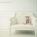 스튜디오아장아장 이미지