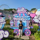 용인 에버랜드 포시즌스 가든스 평일 방문 (ft. 산리오 시나모롤 통 사는 법)