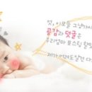 찌니베베 이미지
