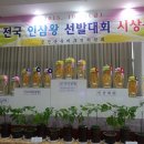 금산인삼관 이미지