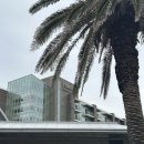 2702 | [제주 해비치] 호텔 오션뷰 디럭스룸 2702호, 11월의 야외 수영장/피트니스 이용 후기