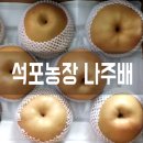 석포농장 | 부모님선물추천 나주배가 최고♡
