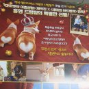 프린스 코기 이미지