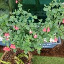 참편한 주유소 이미지