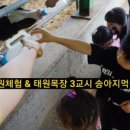 태원 목장 네이버블로그