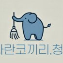 파란청소 이미지