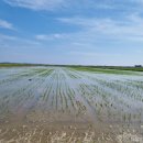 현대농장(1) 이미지