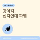 송정동물메디컬센터