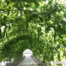 여주-0035 이미지