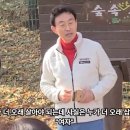 관천초등학교 이미지