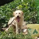 (유)조은환경 이미지