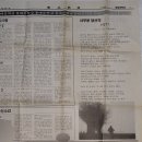 콜렉트삼성 | 시골쥐의 크리스마스 시즌 서울 즐기기...