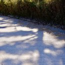 세븐일레븐 종로사직점 이미지