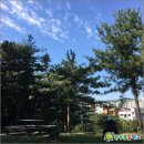 숲어린이집 이미지