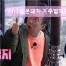 4784 | 제주도 흑돼지 삼겹 목살 맛집 ! 바다를본돼지 제주협재판포점 제주도 흑돼지 맛집