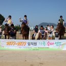 승마대리운전