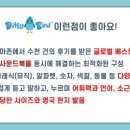 디티