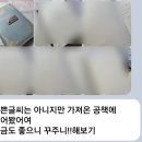 해빗 트레이닝 이미지