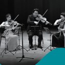 앙상블 오푸스의 꿈꾸는 저녁 이미지