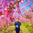 복사꽃농원 - 원주시 평장두둑1길 21 | 복사꽃농원