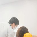 골든파인트리 이미지