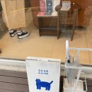 270-3005 | 연남동 소품샵 투어 - 오버더피치, 베렌트레프, 소카모노