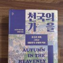 평화로운세상 이미지