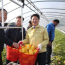 성주 이미지