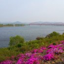 금강단란주점 - 당진시 당진3거리길 4 | 금강단란주점