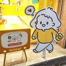 강릉 소품샵 안뽀뇨 소품샵 강릉 기프트샵 추천 후기