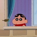 가톨릭대학교 성빈센트병원 | [임신 일기] 근종통 입원 이야기 - 2 (14~16주차) I (세인트마리여성병원, 가톨릭대학교 성빈센트병원)