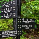 김구선생암각문 이미지