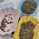 바리스타(창업) A | 인천바리스타학원 제대로 고르는 법, 자격증까지 한 번에 준비한 후기