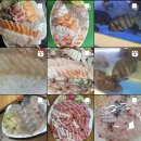 숲속수산