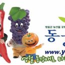 동강애