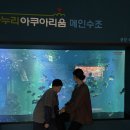 아쿠아리움 | 단양여행 아이와 가볼만한 곳 다누리 아쿠아리움 후기