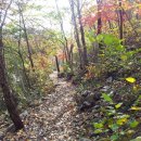 용현자연휴양림 이미지